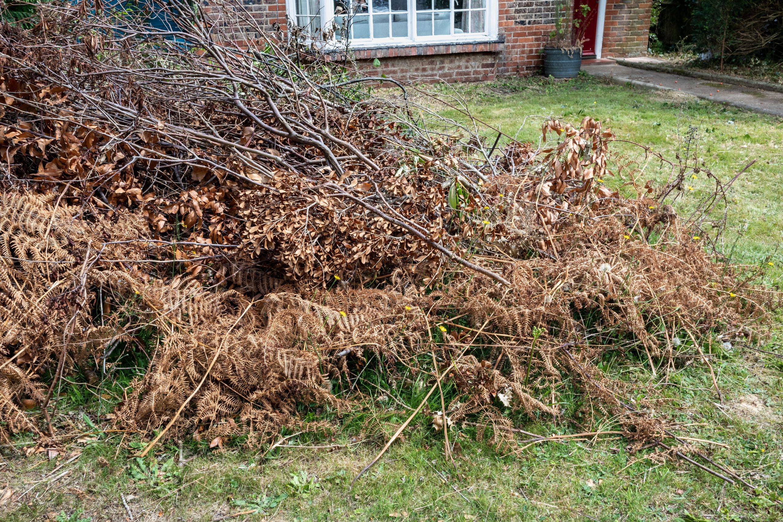 Garden Green Waste Removal Chelsea SW3